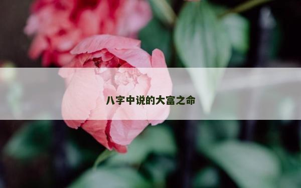 八字中說的大富之命