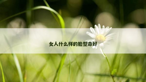 女人什么樣的臉型命好