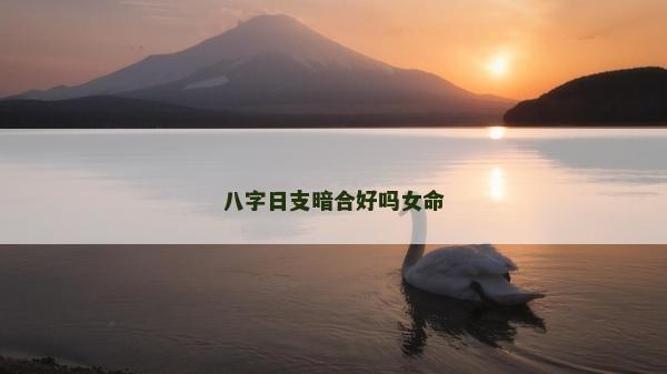 八字日支暗合好嗎女命