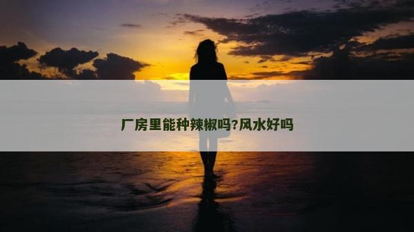 廠房里能種辣椒嗎?風(fēng)水好嗎