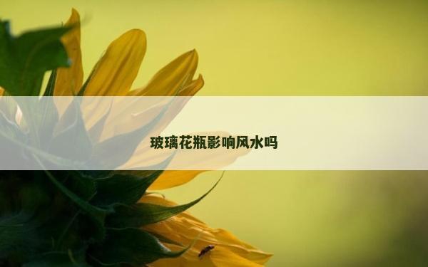 玻璃花瓶影響風水嗎