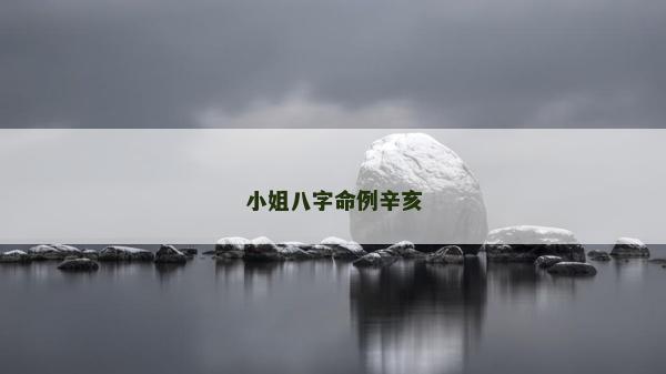 小姐八字命例辛亥