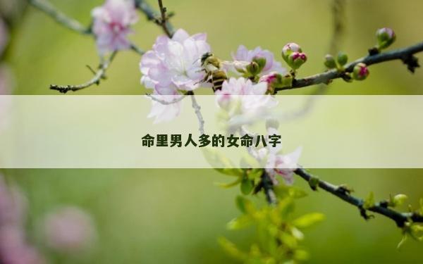 命里男人多的女命八字