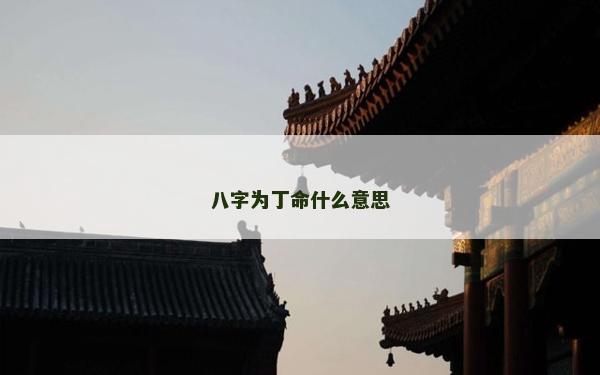八字為丁命什么意思