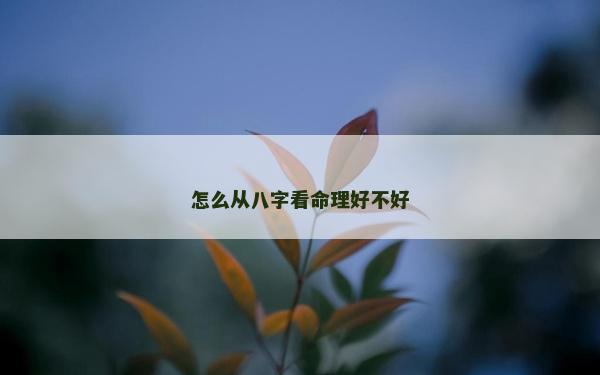怎么從八字看命理好不好