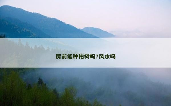 房前能種柏樹嗎?風水嗎