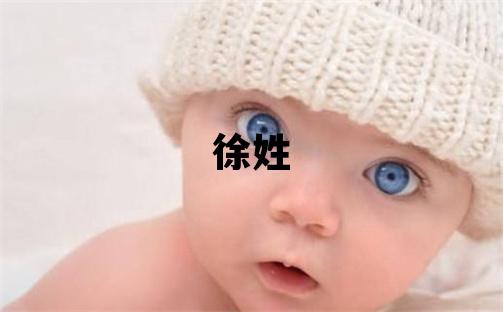 徐姓大氣文雅的男孩名字