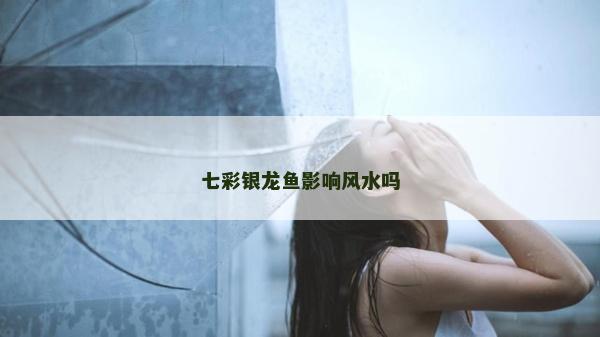七彩銀龍魚影響風水嗎 七彩銀龍魚影響風水嗎