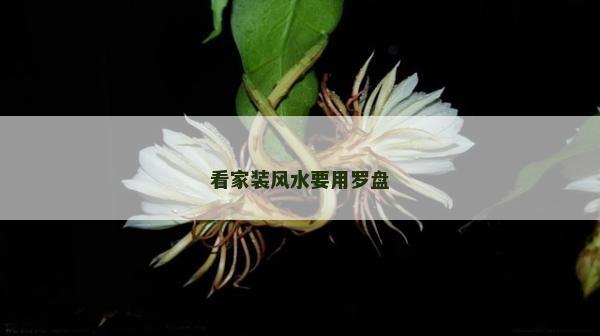 看家裝風水要用羅盤