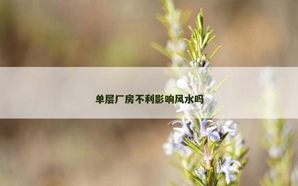 單層廠房不利影響風水嗎