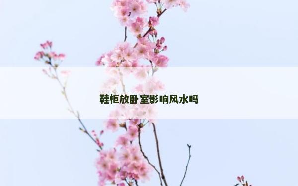 鞋柜放臥室影響風(fēng)水嗎