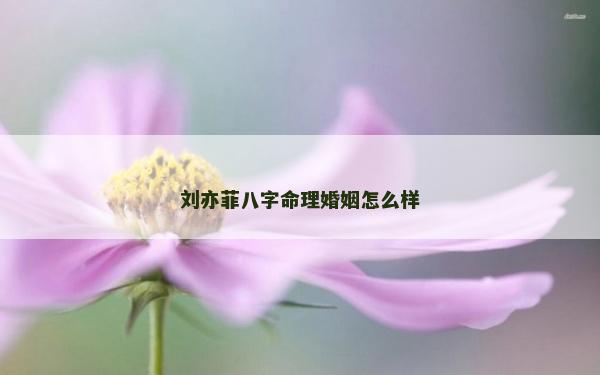 劉亦菲八字命理婚姻怎么樣