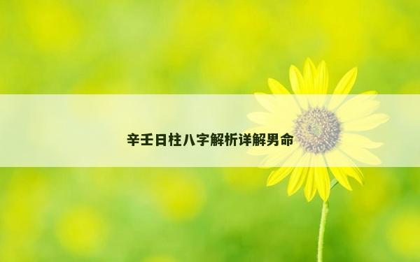 辛壬日柱八字解析詳解男命