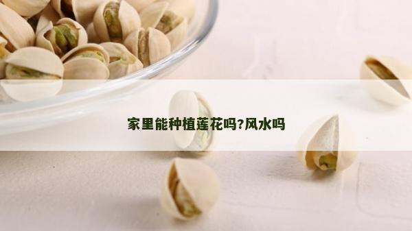 家里能種植蓮花嗎?風(fēng)水嗎
