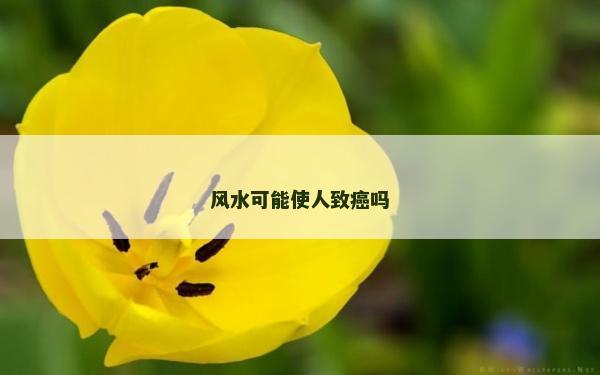 風(fēng)水可能使人致癌嗎