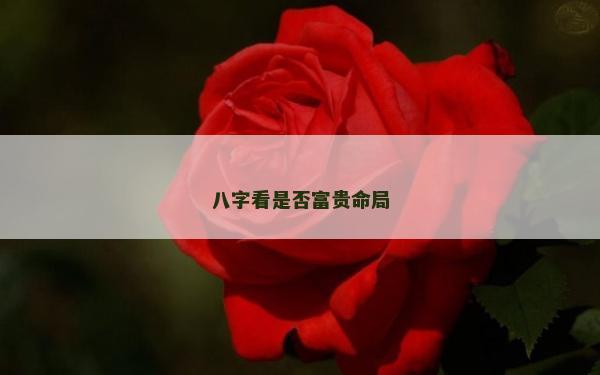 八字看是否富貴命局