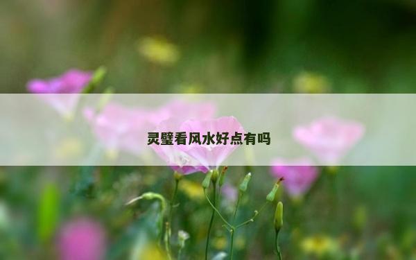 靈璧看風(fēng)水好點有嗎