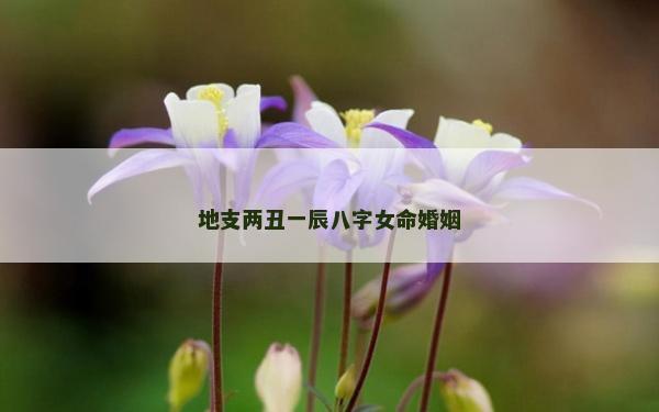 地支兩丑一辰八字女命婚姻