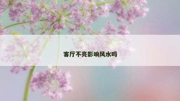 客廳不亮影響風水嗎
