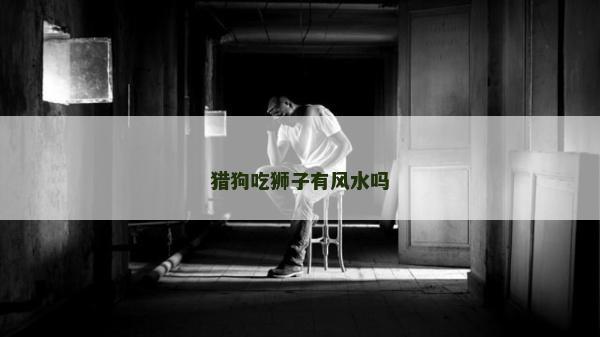 獵狗吃獅子有風水嗎