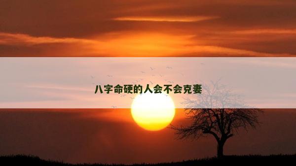 八字命硬的人會不會克妻