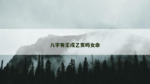 八字有壬戌乙亥嗎女命