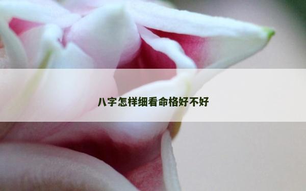 八字怎樣細看命格好不好