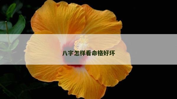 八字怎樣看命格好壞