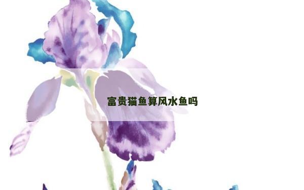 富貴貓魚算風(fēng)水魚嗎
