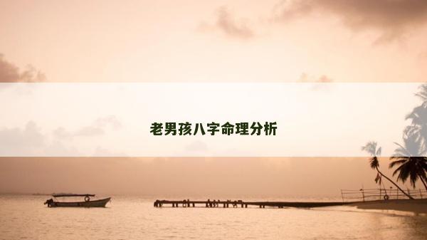 老男孩八字命理分析
