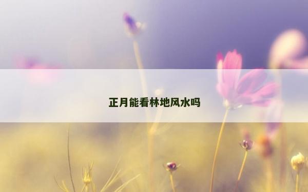 正月能看林地風水嗎