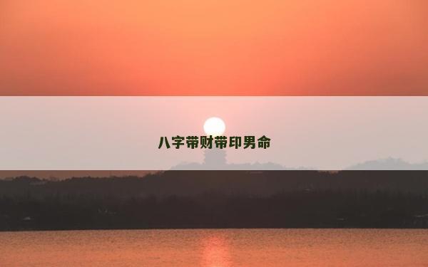 八字帶財帶印男命