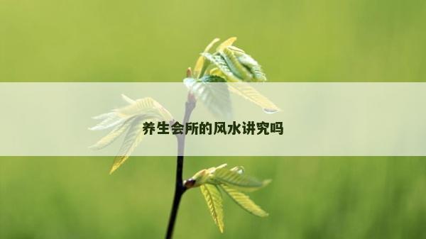 養(yǎng)生會(huì)所的風(fēng)水講究嗎