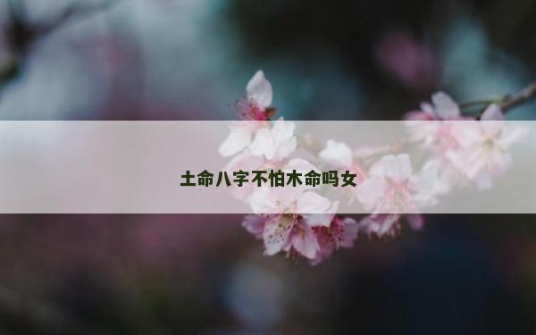 土命八字不怕木命嗎女