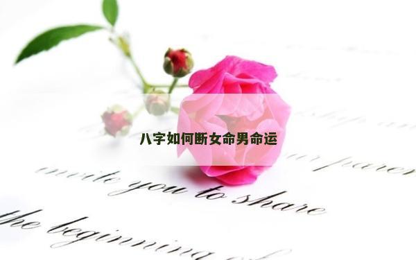 八字如何斷女命男命運