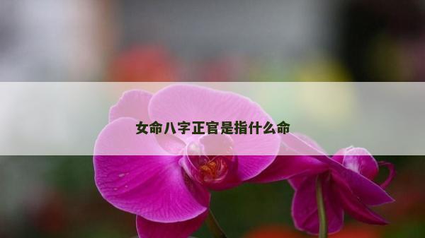 女命八字正官是指什么命