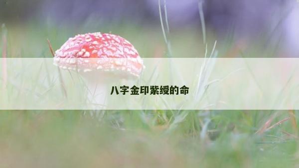 八字金印紫綬的命 八字金印紫綬的命