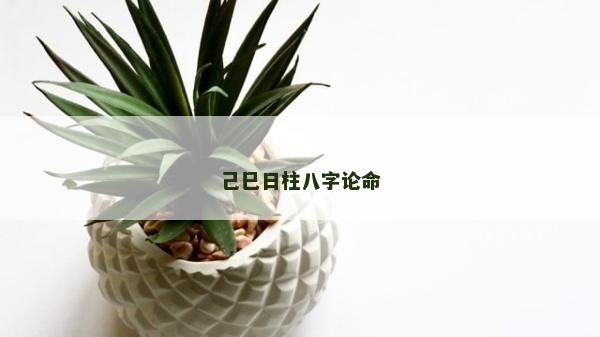 己巳日柱八字論命