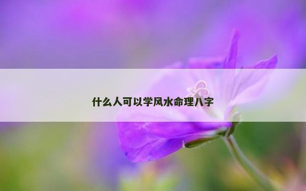什么人可以學風水命理八字
