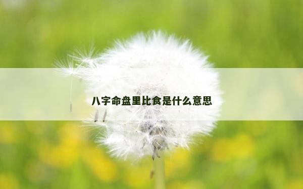 八字命盤(pán)里比食是什么意思 八字命盤(pán)里比食是什么意思