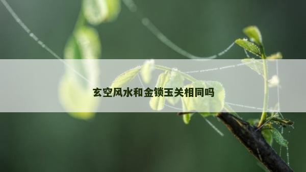 玄空風水和金鎖玉關(guān)相同嗎 玄空風水和金鎖玉關(guān)相同嗎