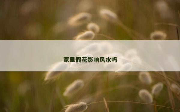 家里假花影響風水嗎