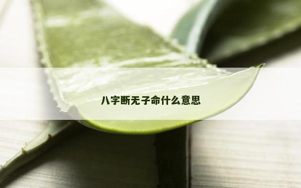 八字斷無子命什么意思