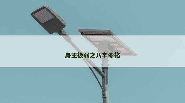 身主極弱之八字命格