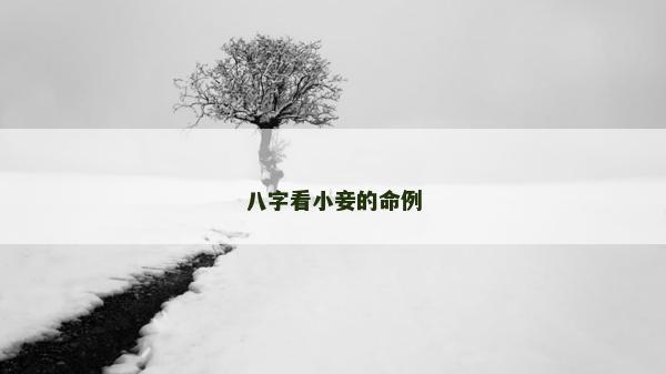 八字看小妾的命例 八字看小妾的命例