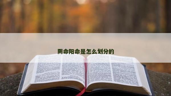 陰命陽命是怎么劃分的