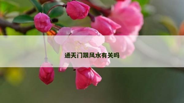 通天門跟風水有關嗎