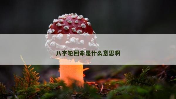 八字輪回命是什么意思啊