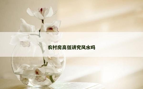 農村房高低講究風水嗎