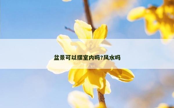 盆景可以擺室內(nèi)嗎?風(fēng)水嗎